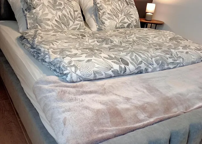 42 Апартаменты Сосновец